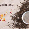 Darjeeling Autumn Flush 2022 by Tea Emporium