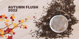 Darjeeling Autumn Flush 2022 by Tea Emporium