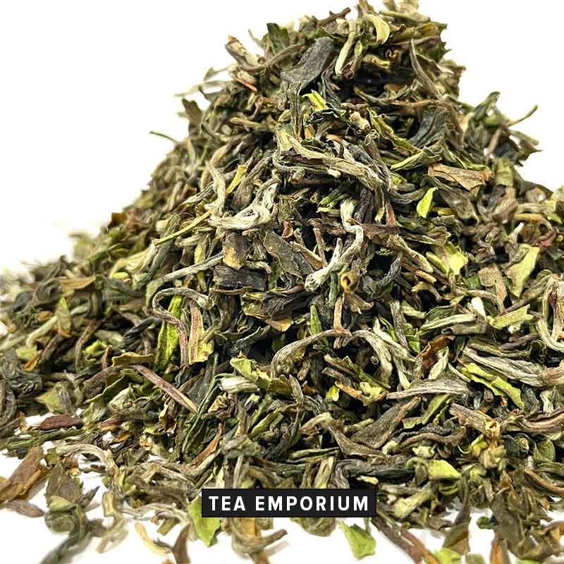 Premium batch of 1st flush 2023 Darjeeling tea