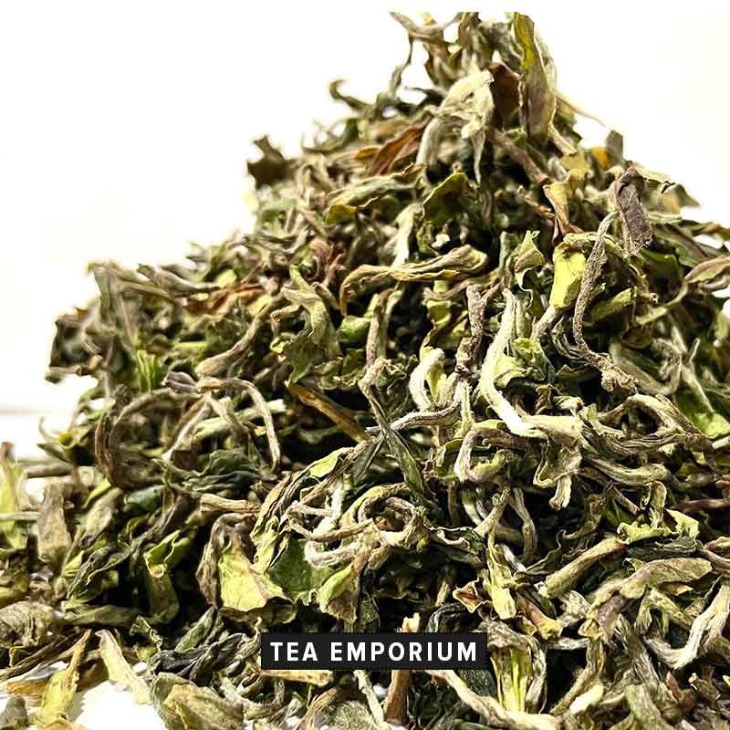 Organic Tea from Darjeeling, India