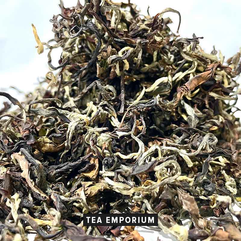 Autumn Flush 2023, Darjeeling Tea