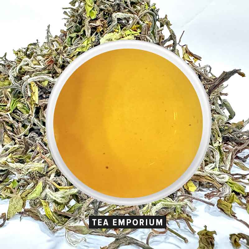 Arya Organic 1st Flush 2024 Darjeeling Tea