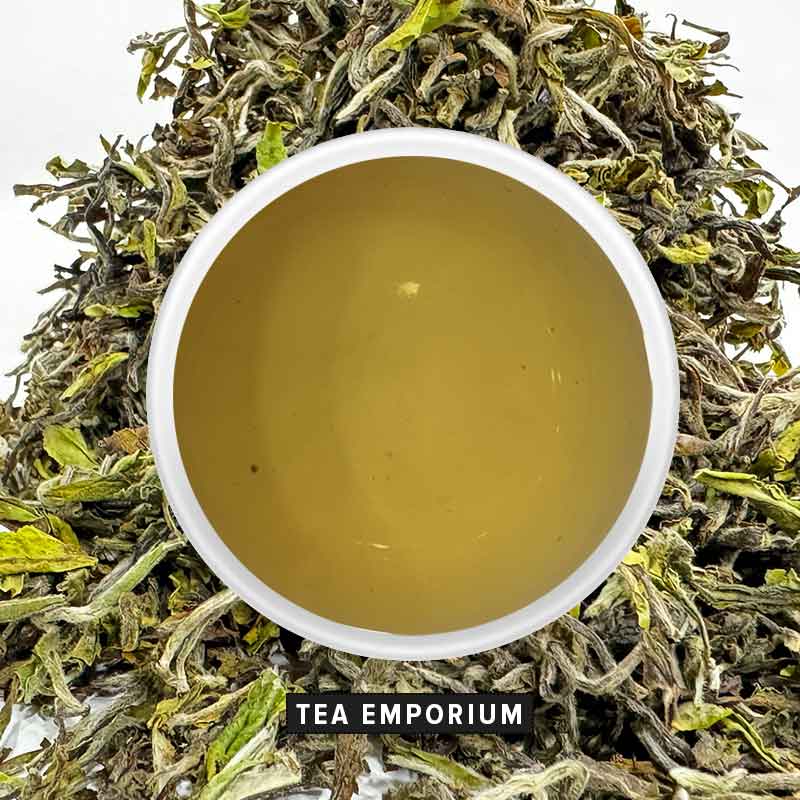 Samabeong Organic 1st Flush 2024 Darjeeling Tea